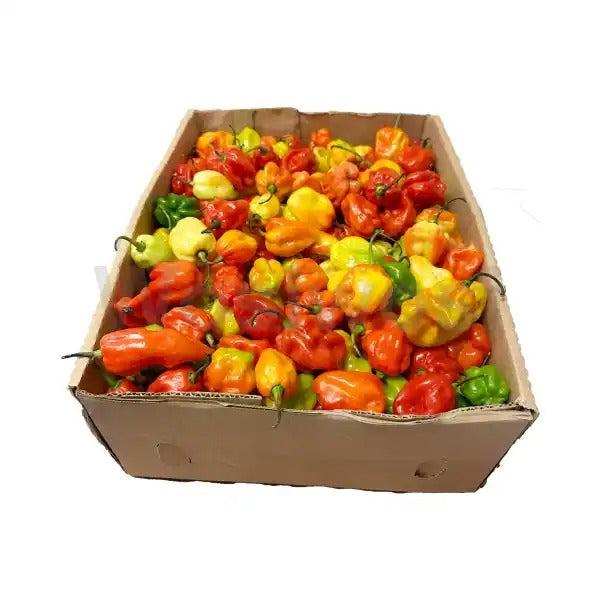Scotch Bonnet Ugandan (Half Box)-SurulereFoods